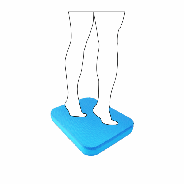 Balance Pad：BP-01R：圖片 2