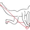 Roller：RS-EE11