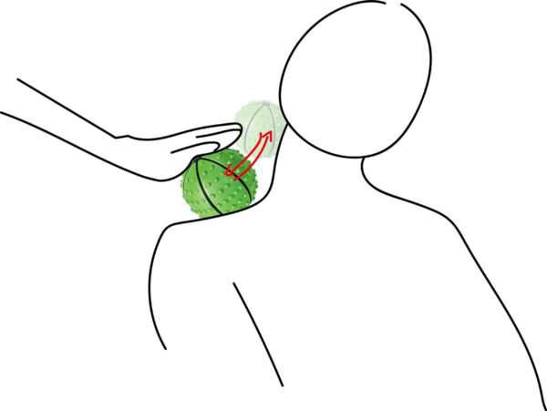 Massage Ball：MSGB-E01